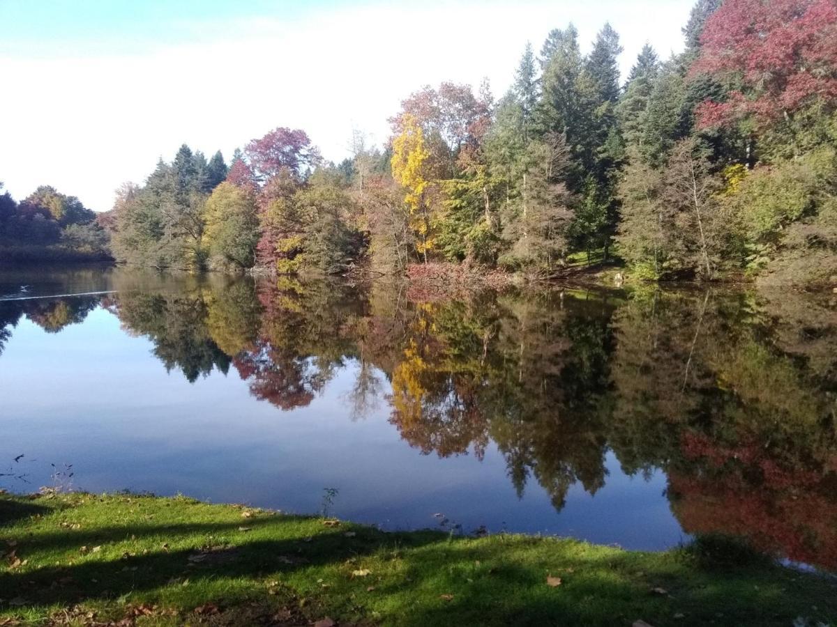 Gite De L'Arboretum Dompierre-les-Ormes Eksteriør bilde